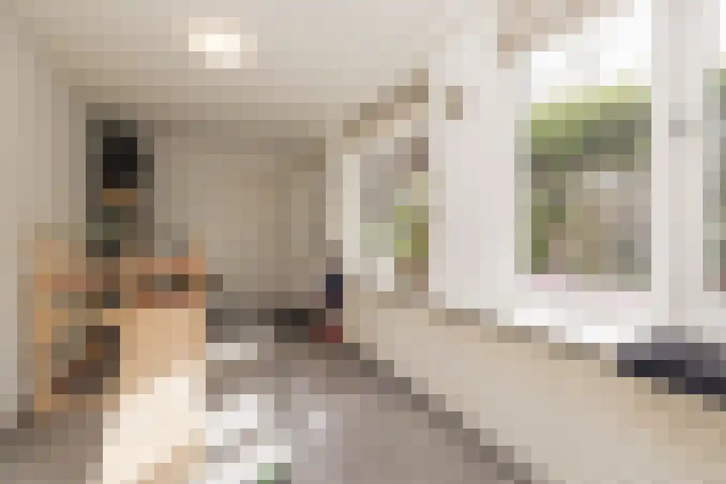Hofbrouckerlaan 7 Oegstgeest thumbnail 30