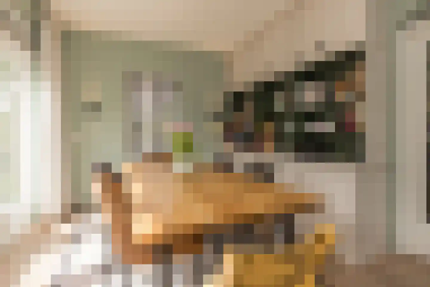 Hofbrouckerlaan 7 Oegstgeest thumbnail 34