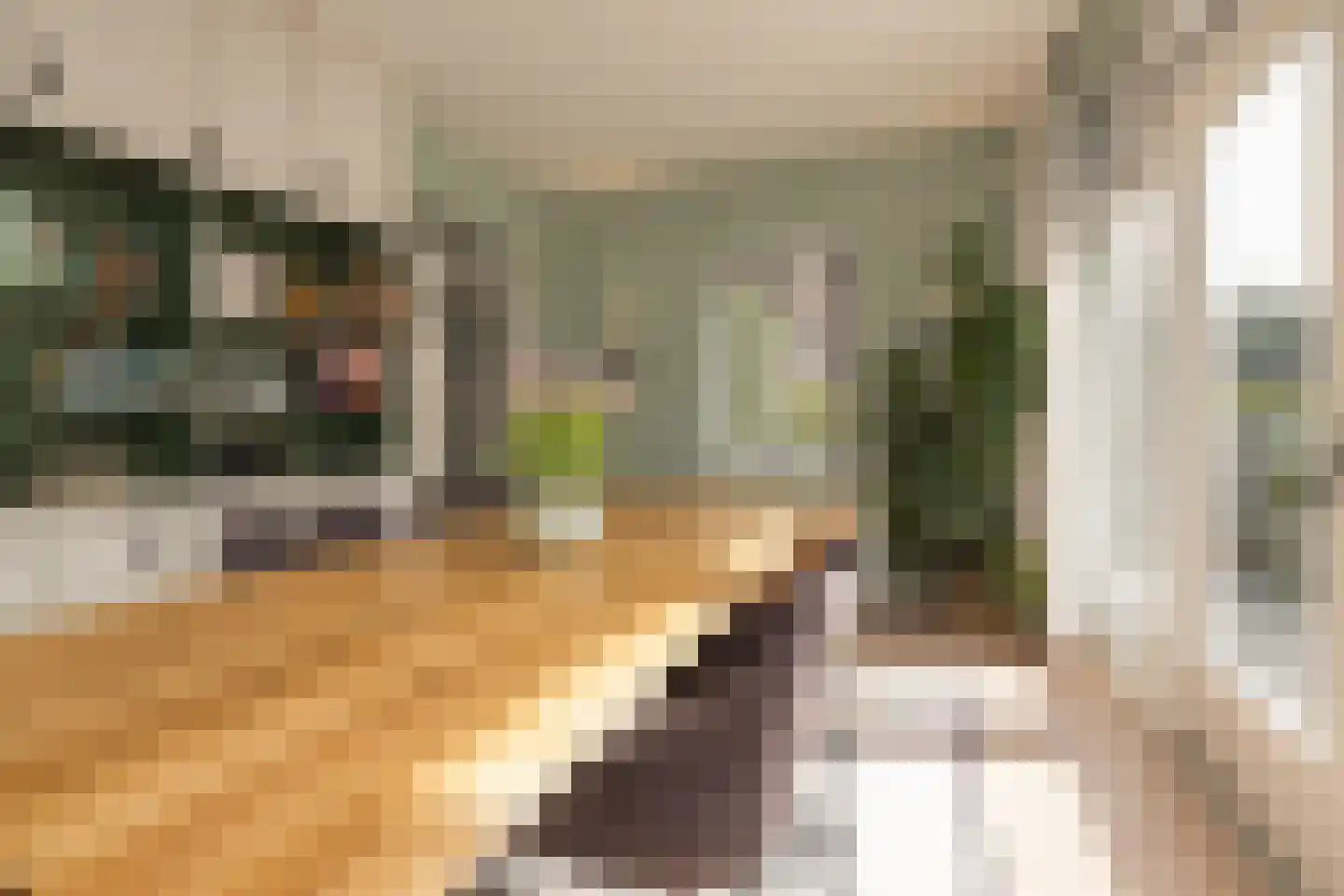 Hofbrouckerlaan 7 Oegstgeest thumbnail 35