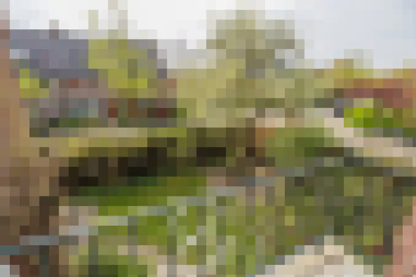 Hofbrouckerlaan 7 Oegstgeest thumbnail 53