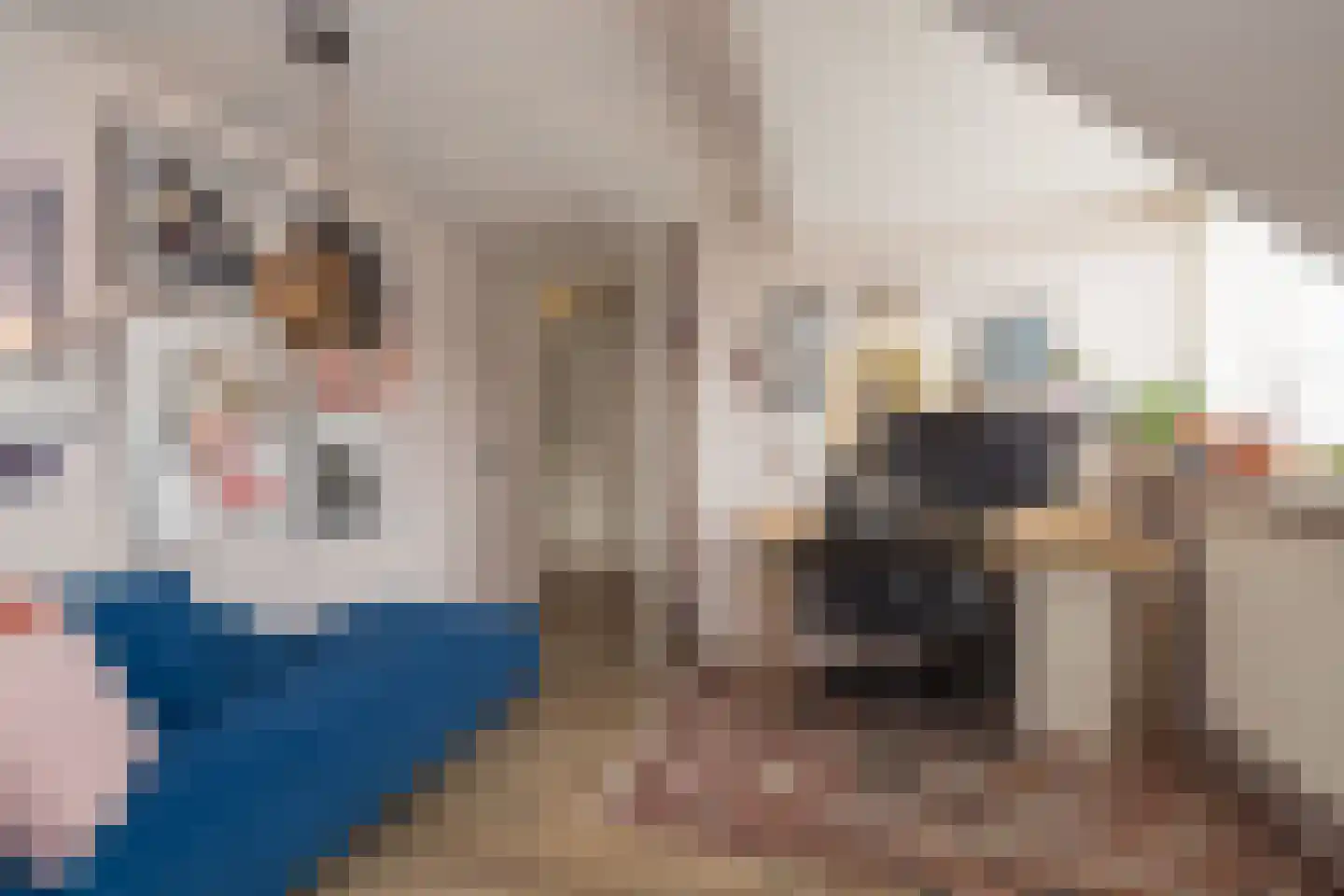 Hofbrouckerlaan 7 Oegstgeest thumbnail 58