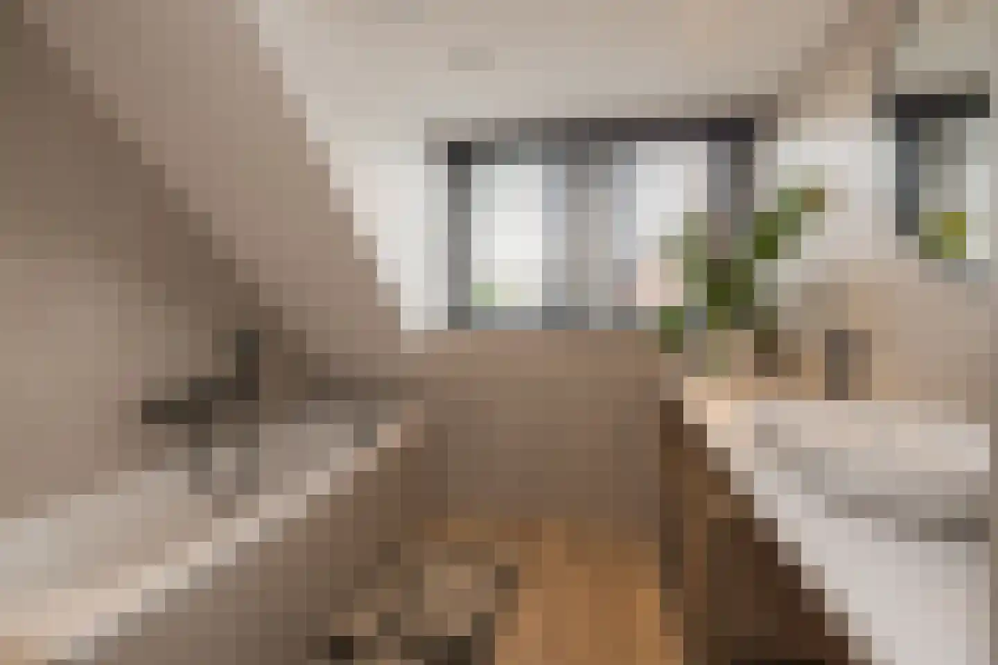 Hofbrouckerlaan 7 Oegstgeest thumbnail 60