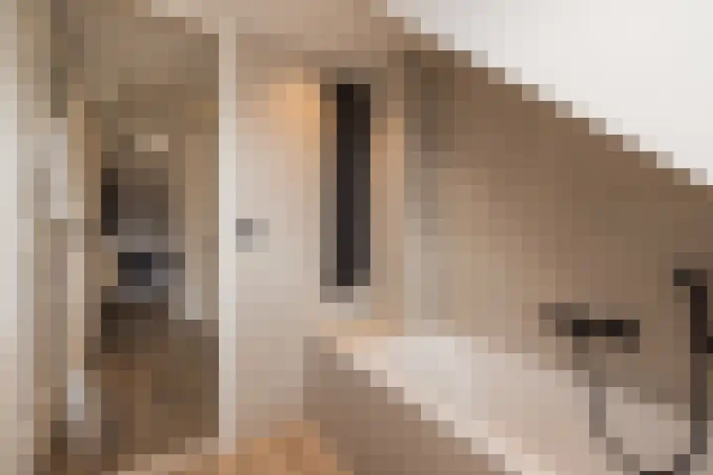 Hofbrouckerlaan 7 Oegstgeest thumbnail 61