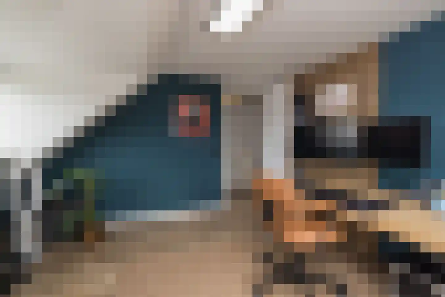 Hofbrouckerlaan 7 Oegstgeest thumbnail 66