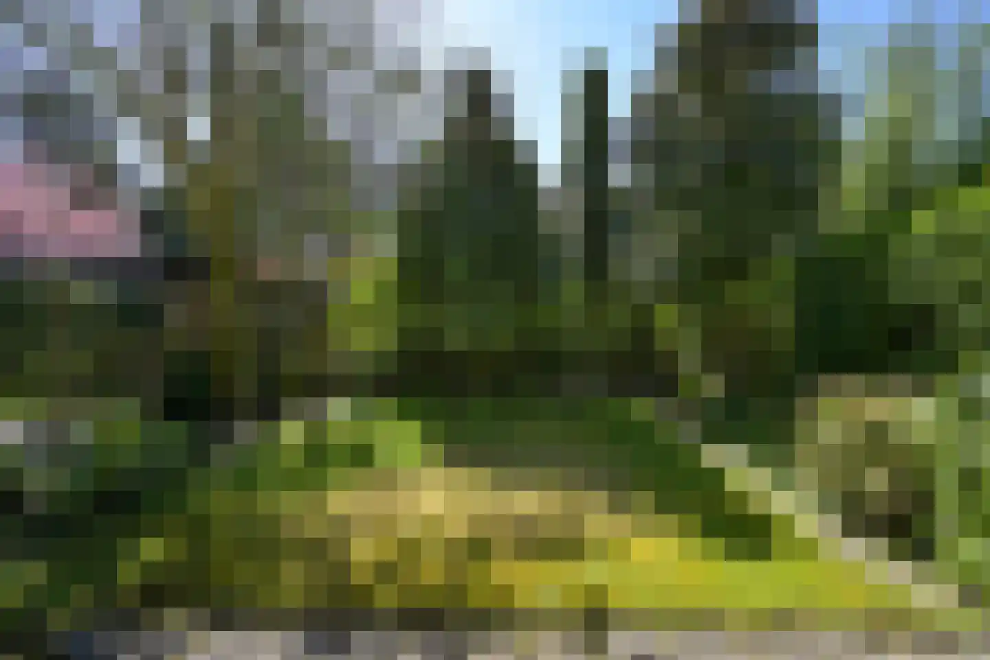 Hofcampweg 7 Wassenaar thumbnail 21