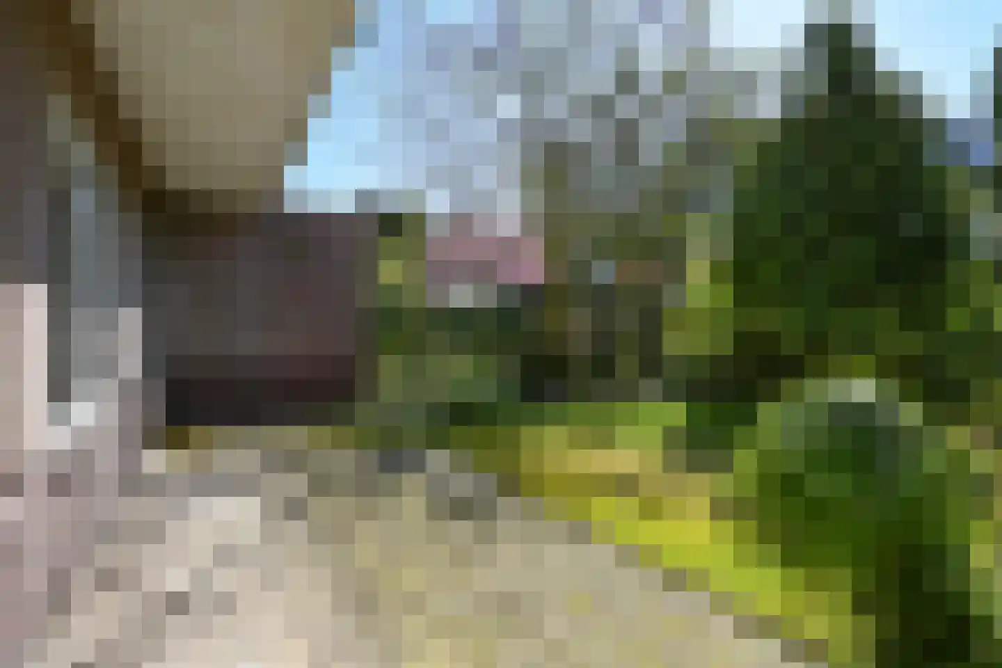 Hofcampweg 7 Wassenaar thumbnail 22