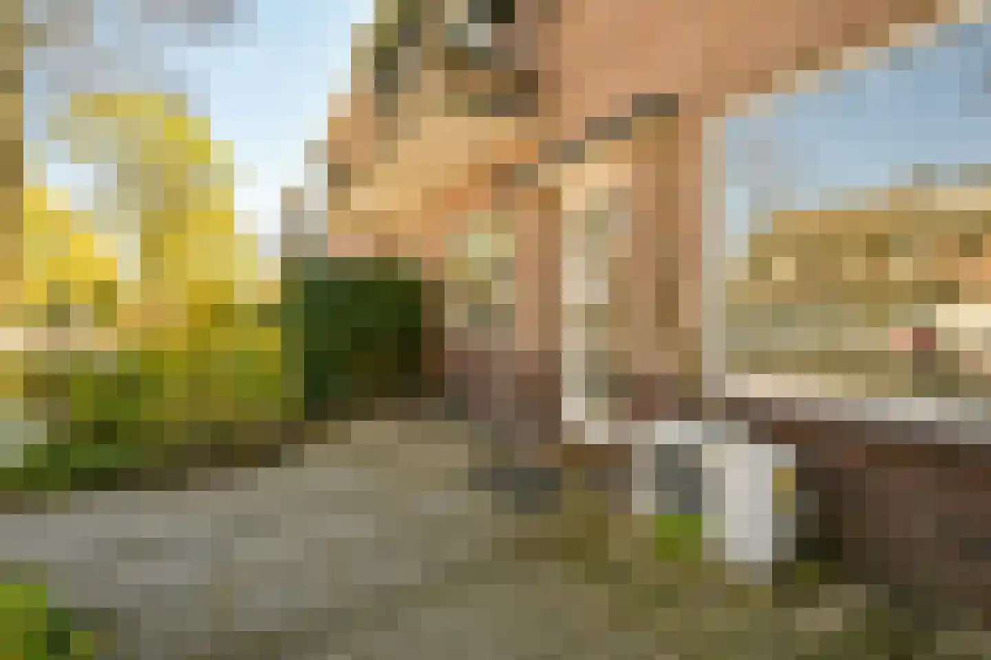 Hofcampweg 7 Wassenaar thumbnail 7