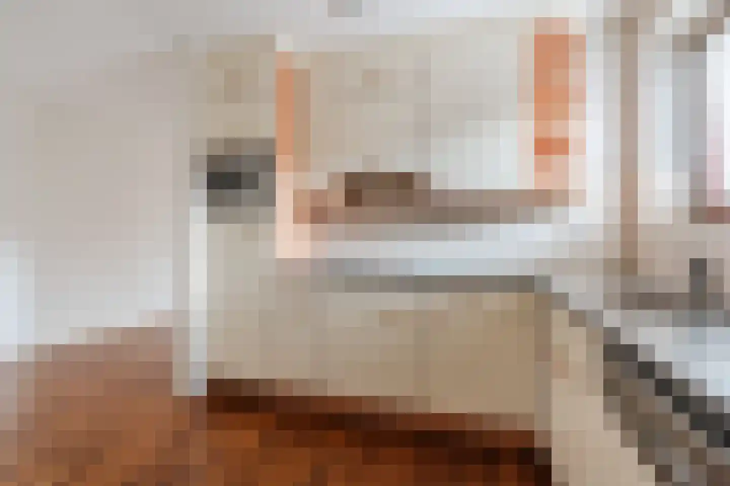 Hofdael 107 Geldrop thumbnail 11
