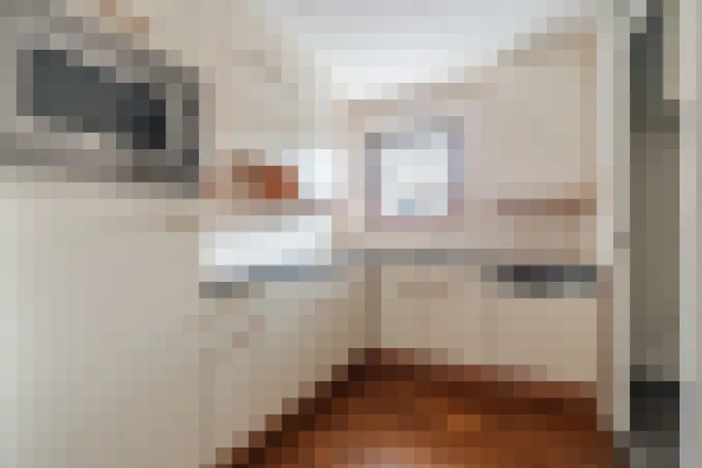 Hofdael 107 Geldrop thumbnail 12