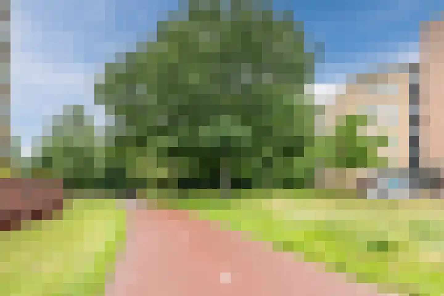 Hofdael 107 Geldrop thumbnail 22