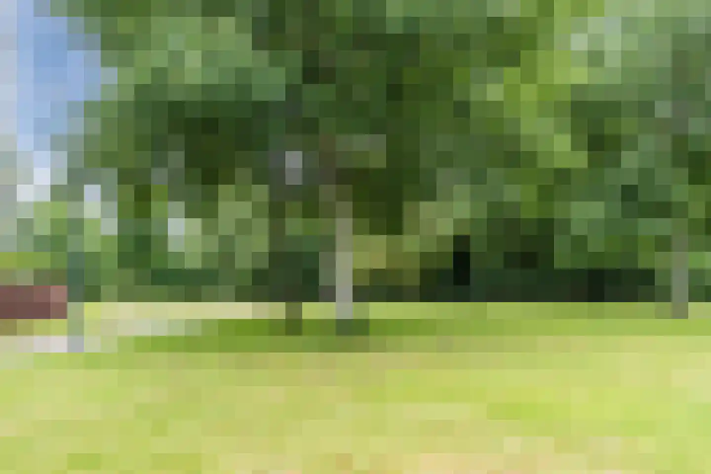 Hofdael 107 Geldrop thumbnail 23
