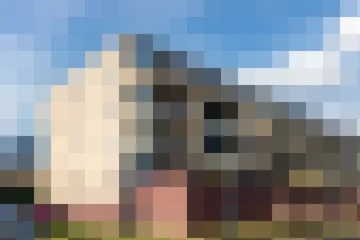 Hofdael 131 Geldrop