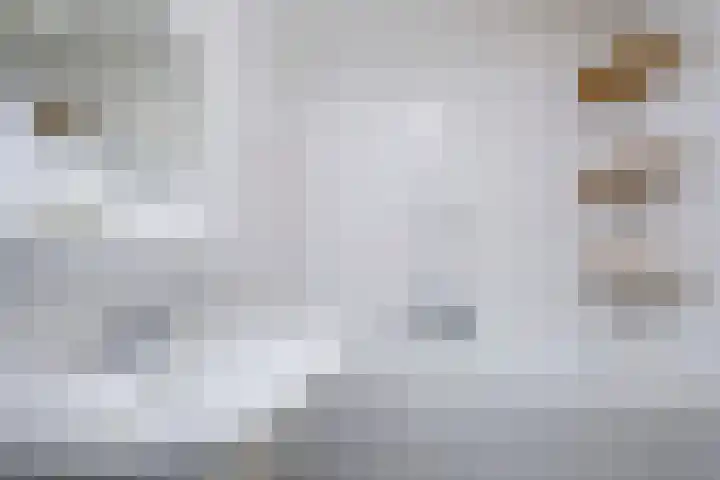 Hofdael 131 Geldrop thumbnail 15