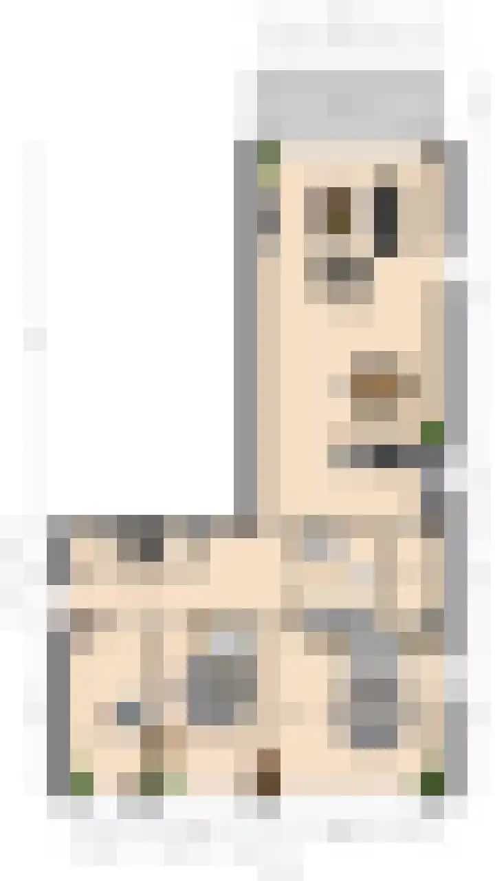 Hofdael 131 Geldrop thumbnail 23