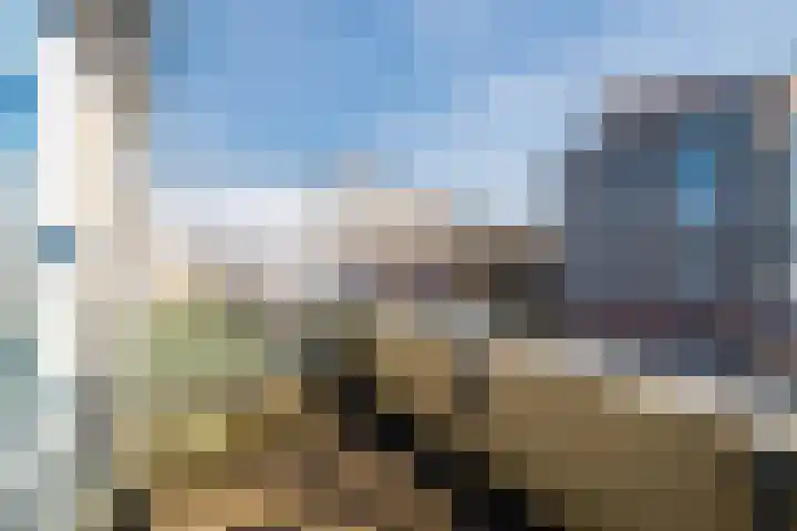 Hofdael 131 Geldrop thumbnail 5
