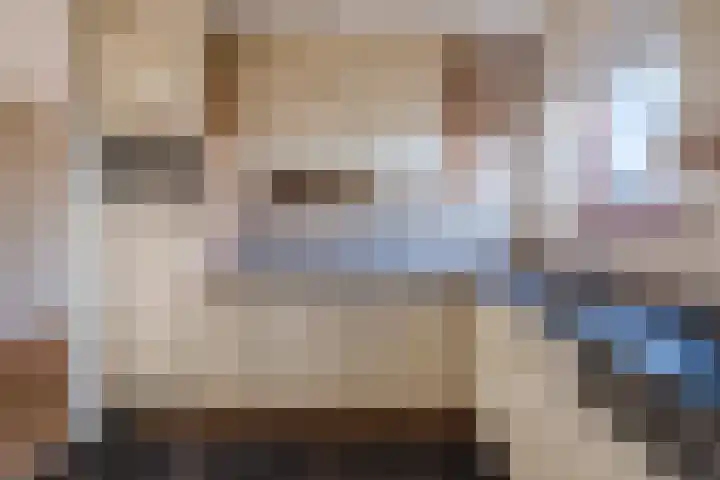 Hofdael 131 Geldrop thumbnail 8