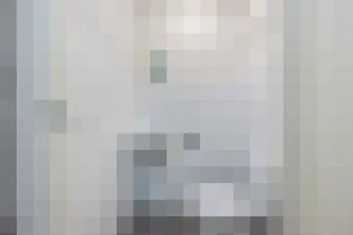 Hofdael 14 Geldrop thumbnail 10