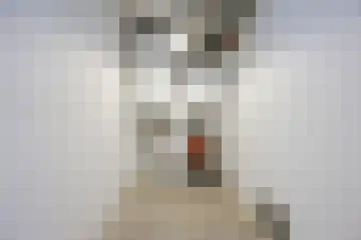 Hofdael 14 Geldrop thumbnail 11