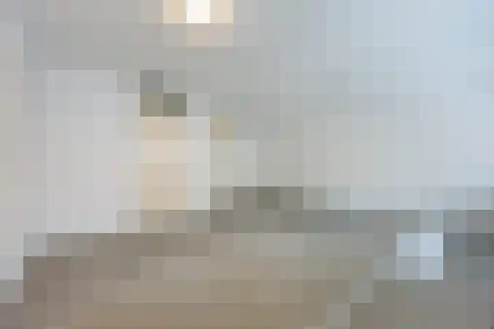 Hofdael 14 Geldrop thumbnail 17
