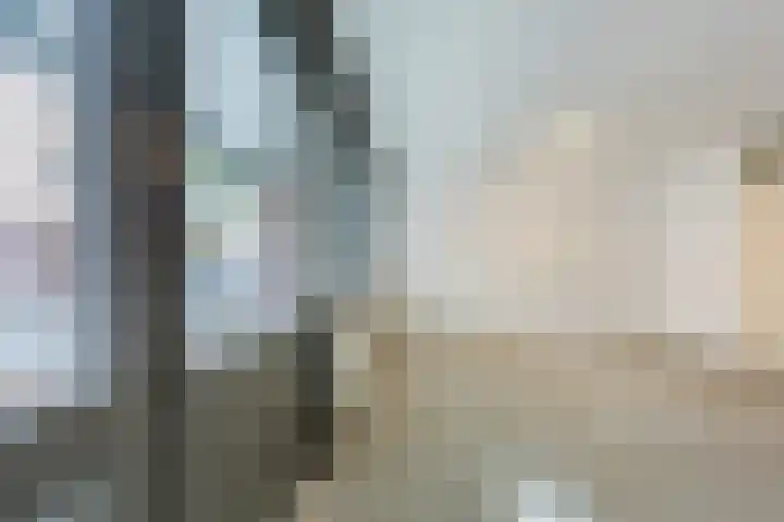 Hofdael 14 Geldrop thumbnail 18