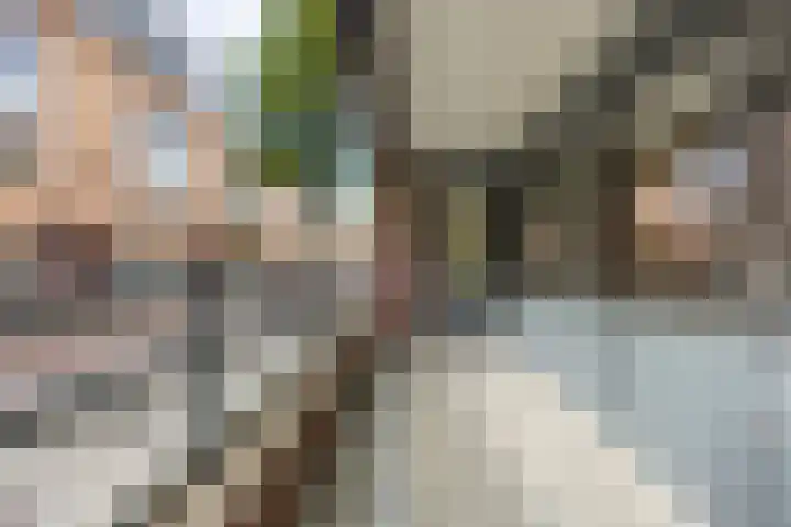 Hofdael 14 Geldrop thumbnail 19
