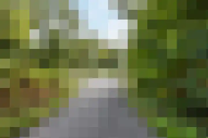 Hofdael 14 Geldrop thumbnail 25