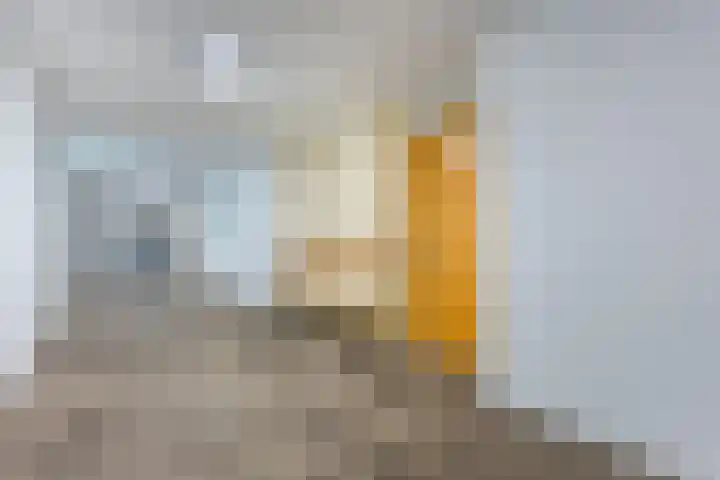 Hofdael 14 Geldrop thumbnail 4