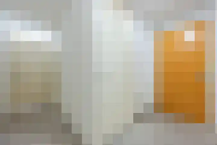 Hofdael 14 Geldrop thumbnail 5
