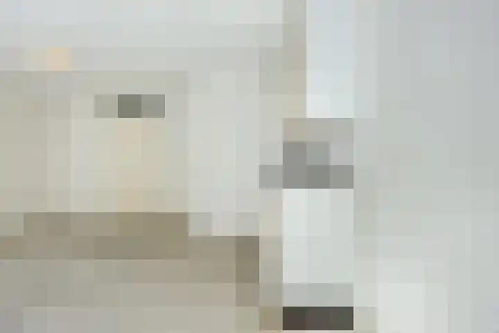 Hofdael 14 Geldrop thumbnail 8