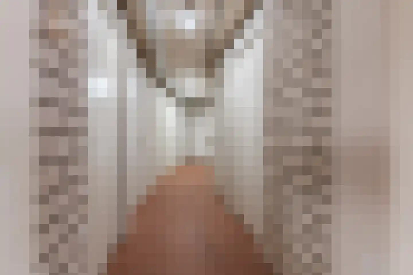 Hofdael 168 Geldrop thumbnail 55