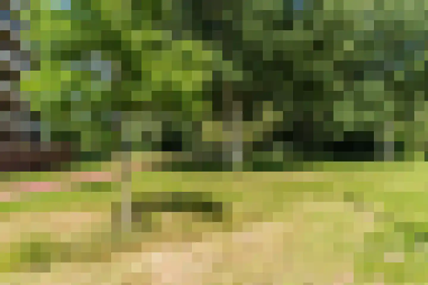 Hofdael 168 Geldrop thumbnail 61