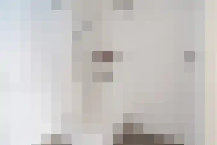 Hofdael 18 Geldrop thumbnail 12