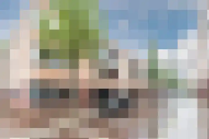 Hofdael 18 Geldrop thumbnail 16