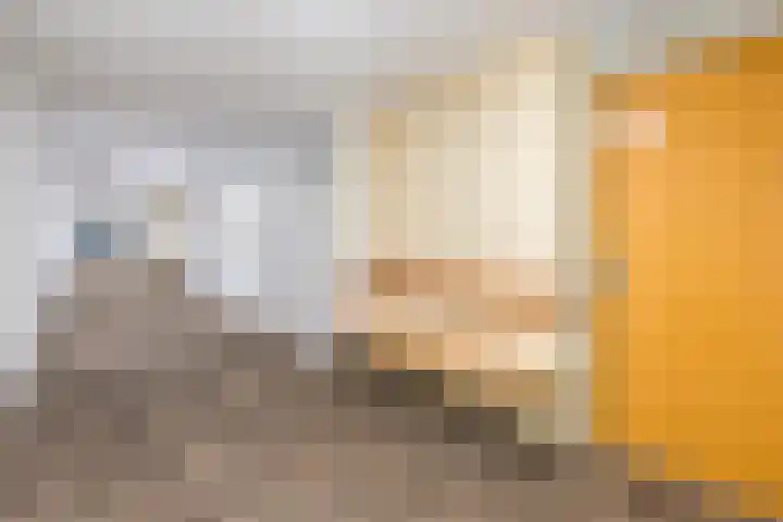 Hofdael 18 Geldrop thumbnail 21