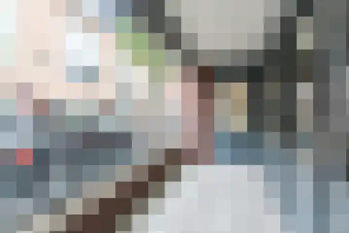 Hofdael 18 Geldrop thumbnail 5
