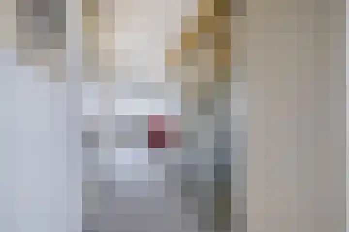Hofdael 212 Geldrop thumbnail 18