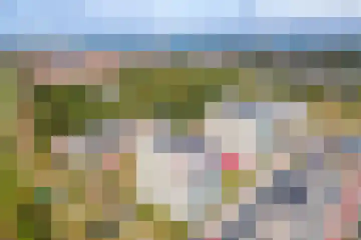 Hofdael 212 Geldrop thumbnail 23