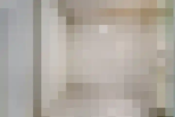 Hofdael 212 Geldrop thumbnail 24