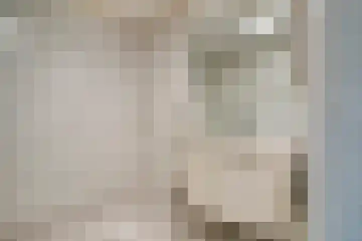 Hofdael 212 Geldrop thumbnail 25