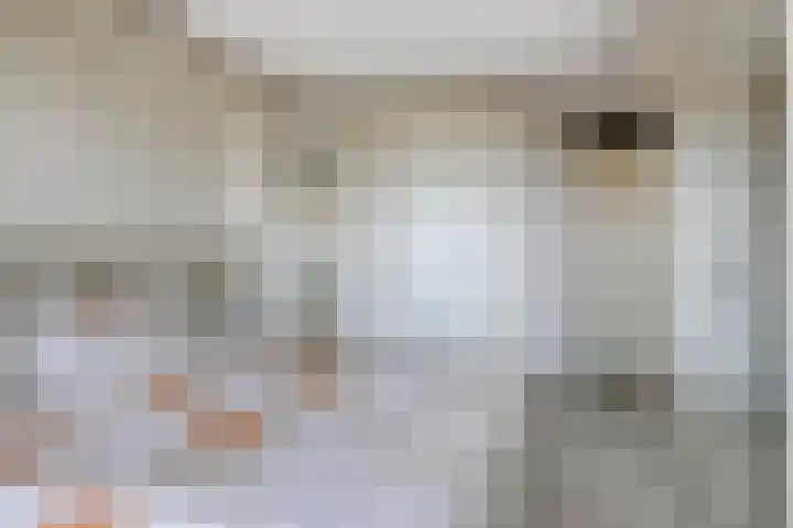 Hofdael 212 Geldrop thumbnail 27