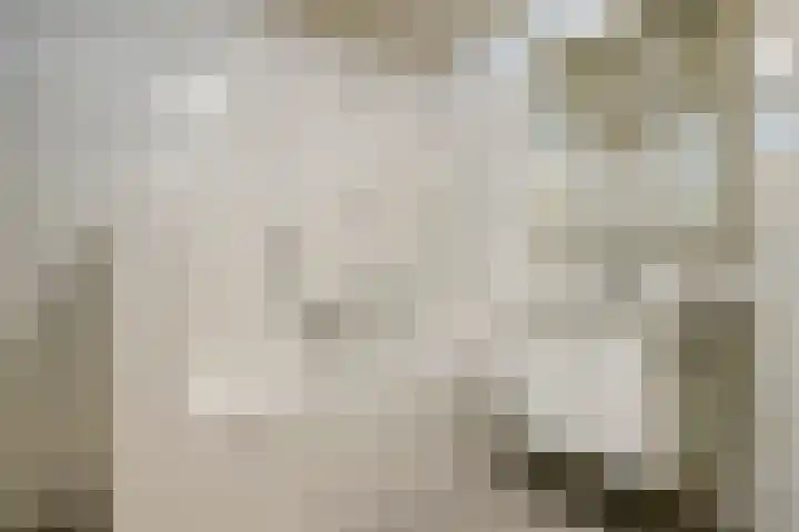 Hofdael 212 Geldrop thumbnail 31