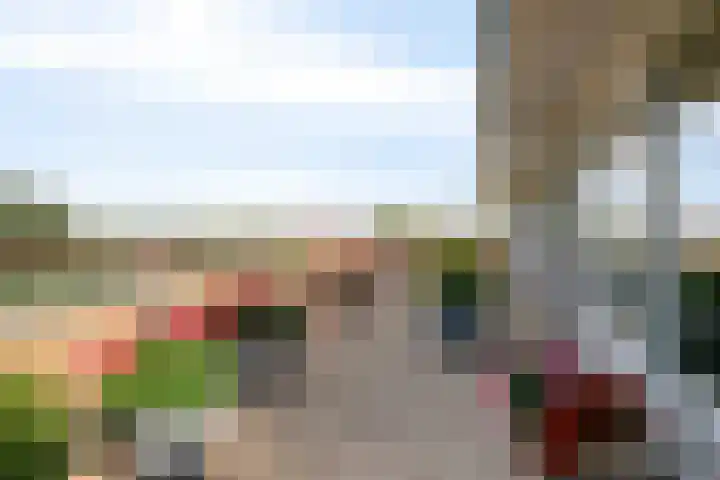 Hofdael 212 Geldrop thumbnail 34