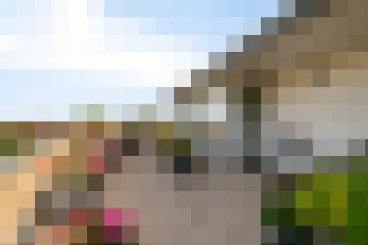 Hofdael 212 Geldrop thumbnail 35