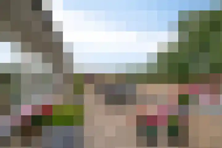 Hofdael 212 Geldrop thumbnail 39