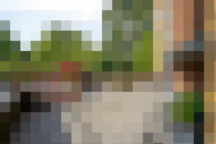 Hofdael 212 Geldrop thumbnail 4