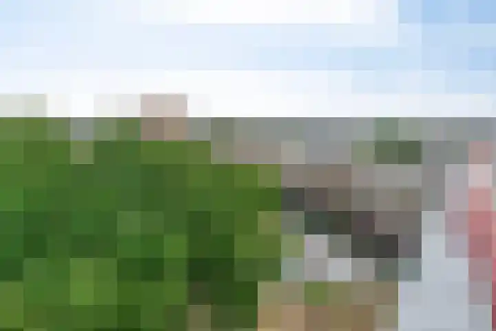 Hofdael 212 Geldrop thumbnail 43