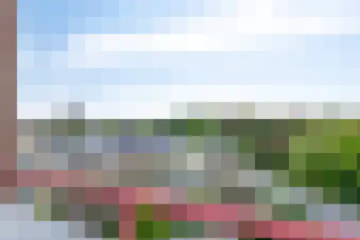 Hofdael 212 Geldrop thumbnail 46