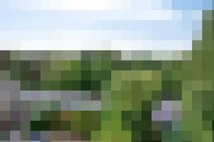 Hofdael 212 Geldrop thumbnail 47