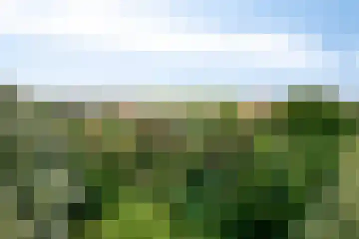 Hofdael 212 Geldrop thumbnail 48