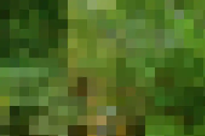 Hofdael 212 Geldrop thumbnail 52